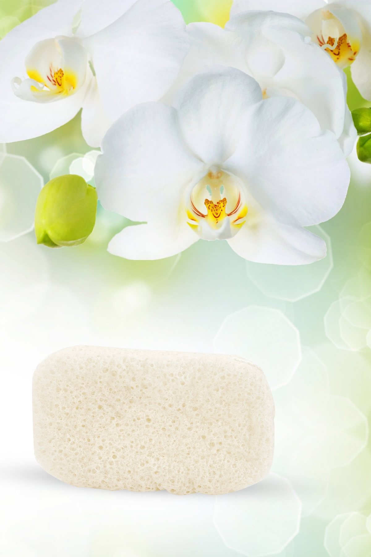 KONJAC SÜNGERİ (BANYO)