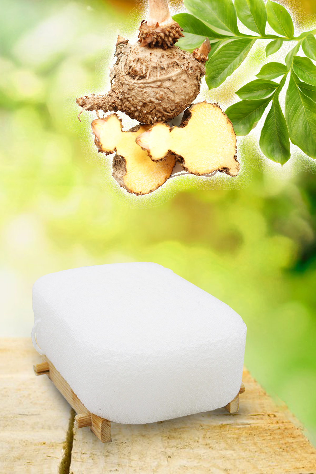 KONJAC SÜNGERİ (BANYO)