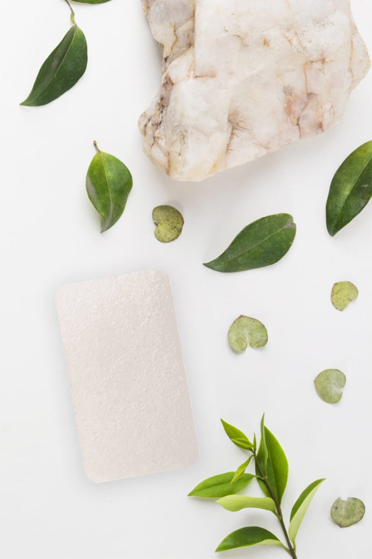 KONJAC SÜNGERİ (BANYO)