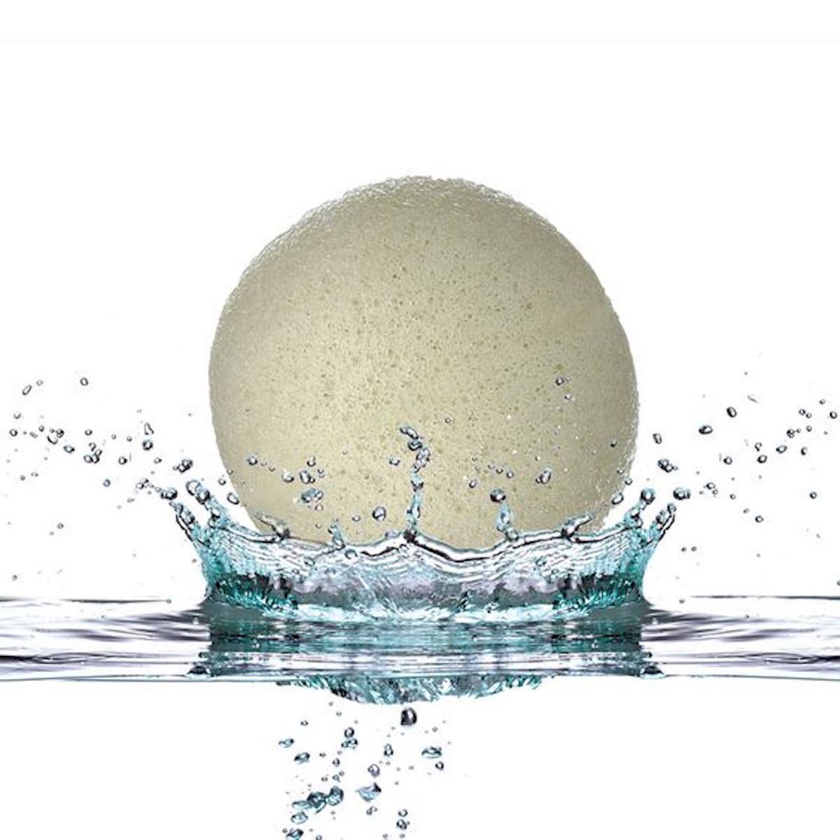 KONJAC SÜNGERİ (YÜZ)