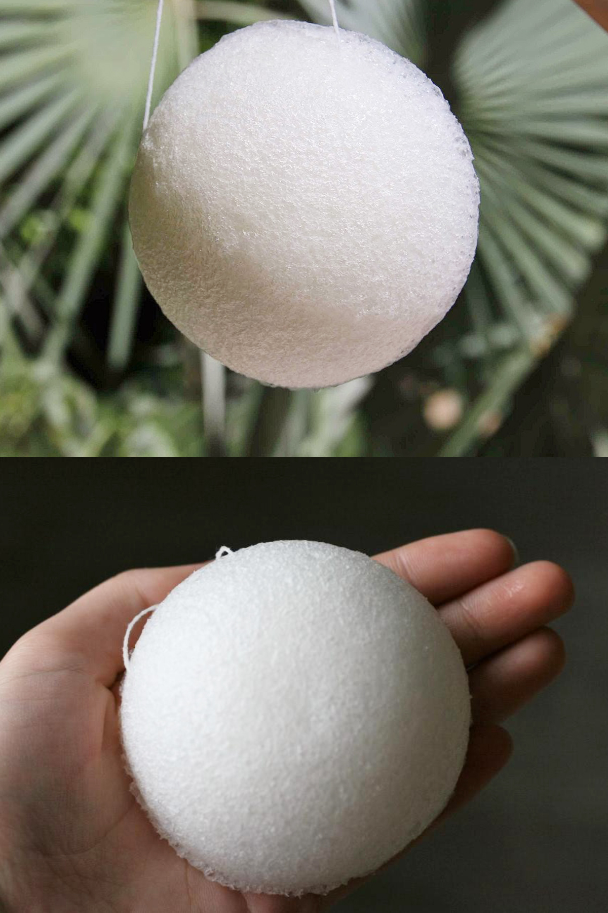 KONJAC SÜNGERİ (YÜZ)